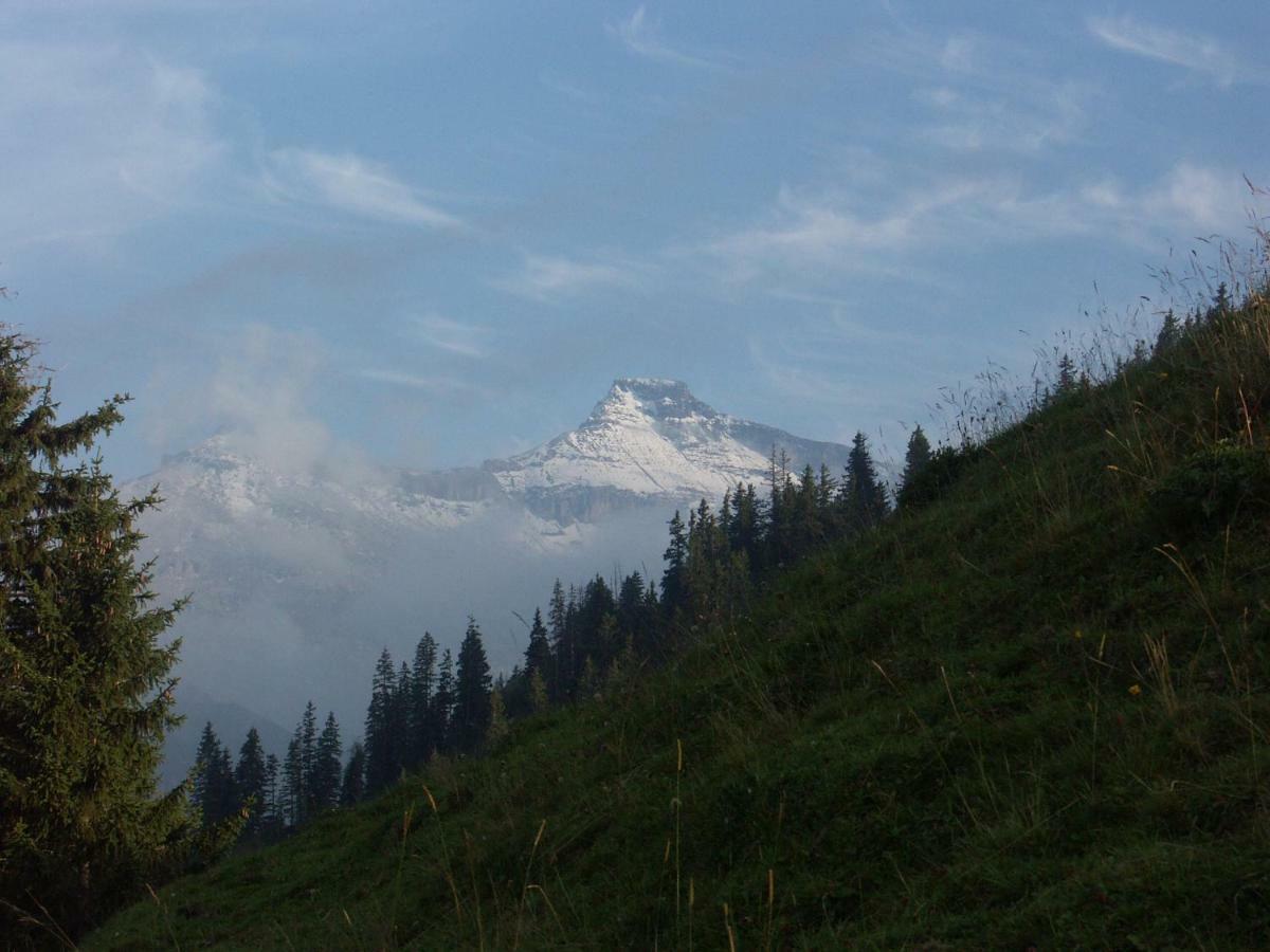 Pension Sonne Adelboden Extérieur photo